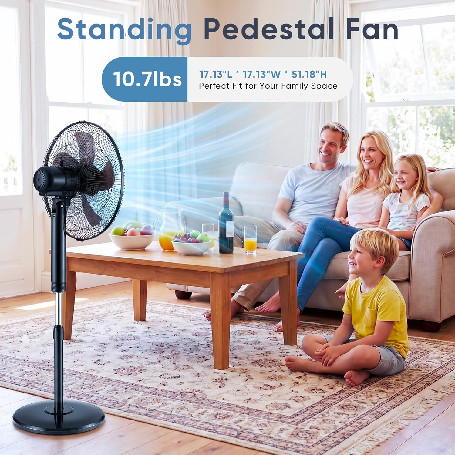 17" Pedestal Fan with Remote